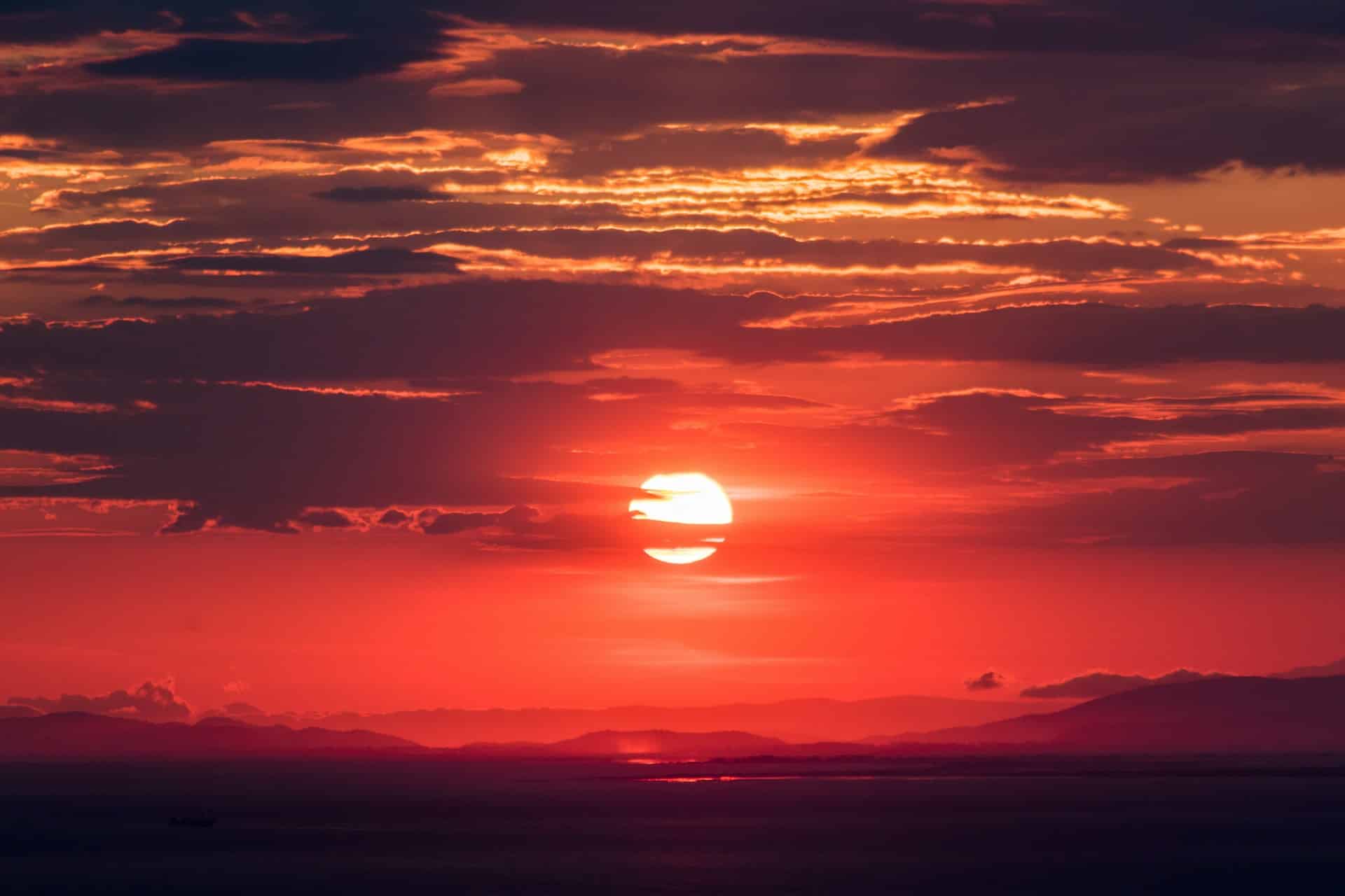tampa sunset